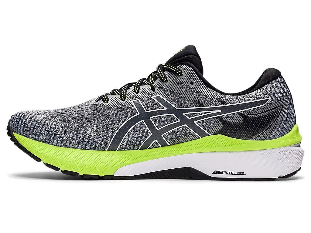 Asics Men's GT-2000 10 - CARRIER GREY/WHITE