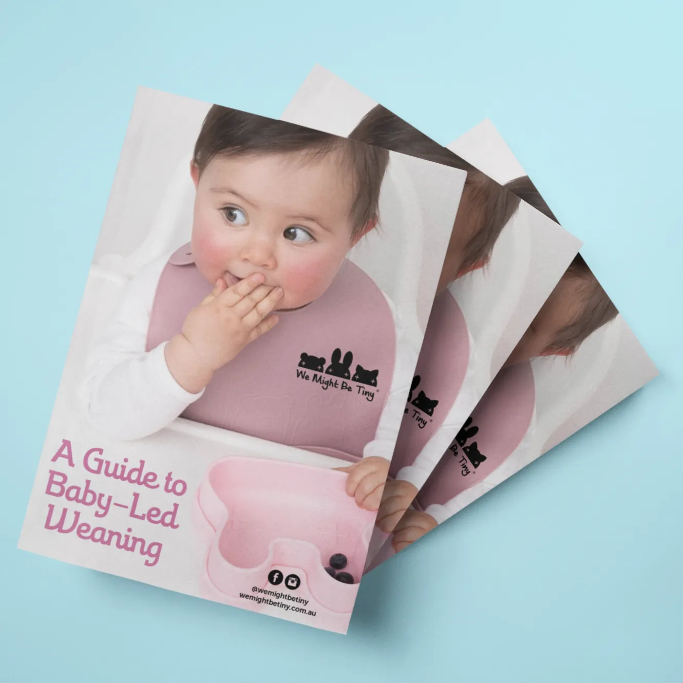 Baby Led Weaning Guide Booklet