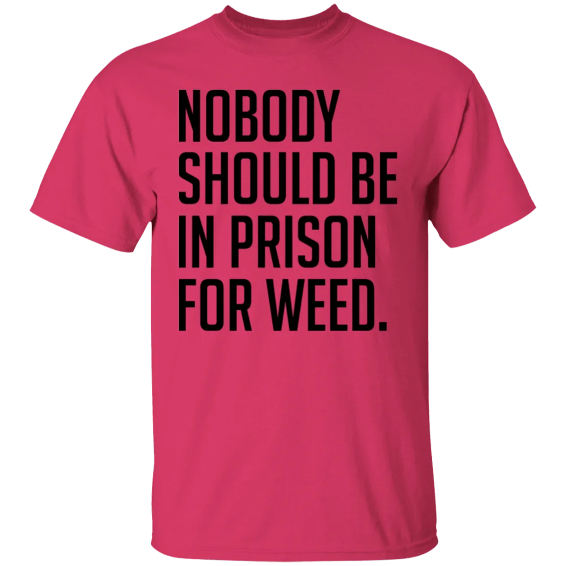 Nobody Should Be In Prison For Weed T-Shirt