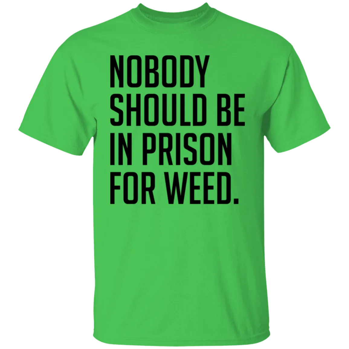 Nobody Should Be In Prison For Weed T-Shirt