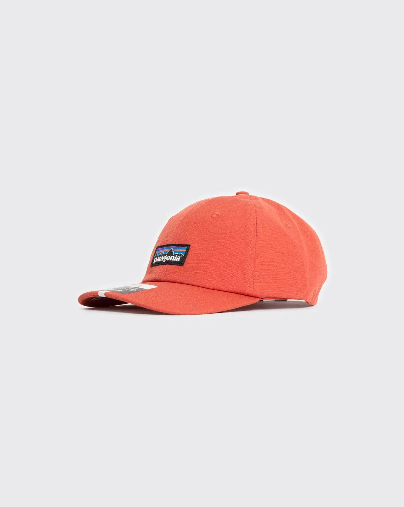 Patagonia P-6 Label Trad Cap