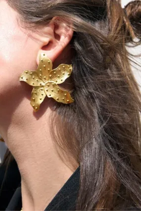 Star Fish Earrings